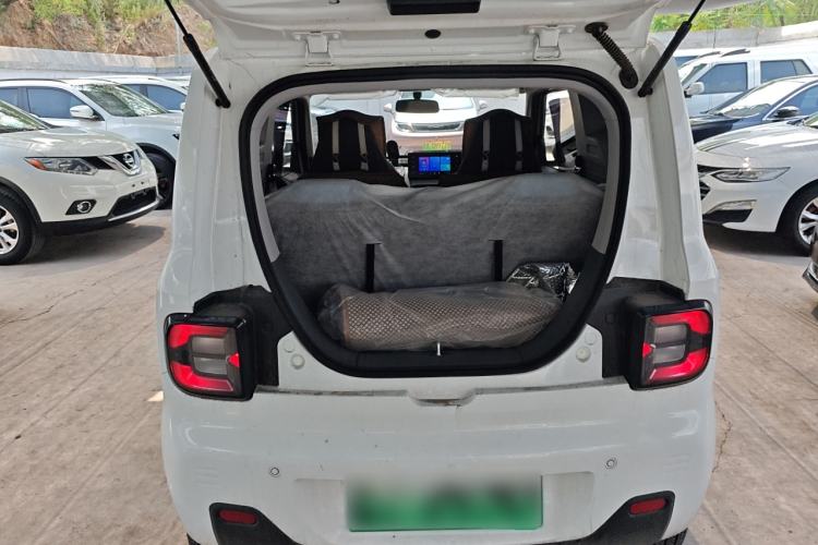 Used  Panda 2024 Panda Mini 200km Endurance Bear
