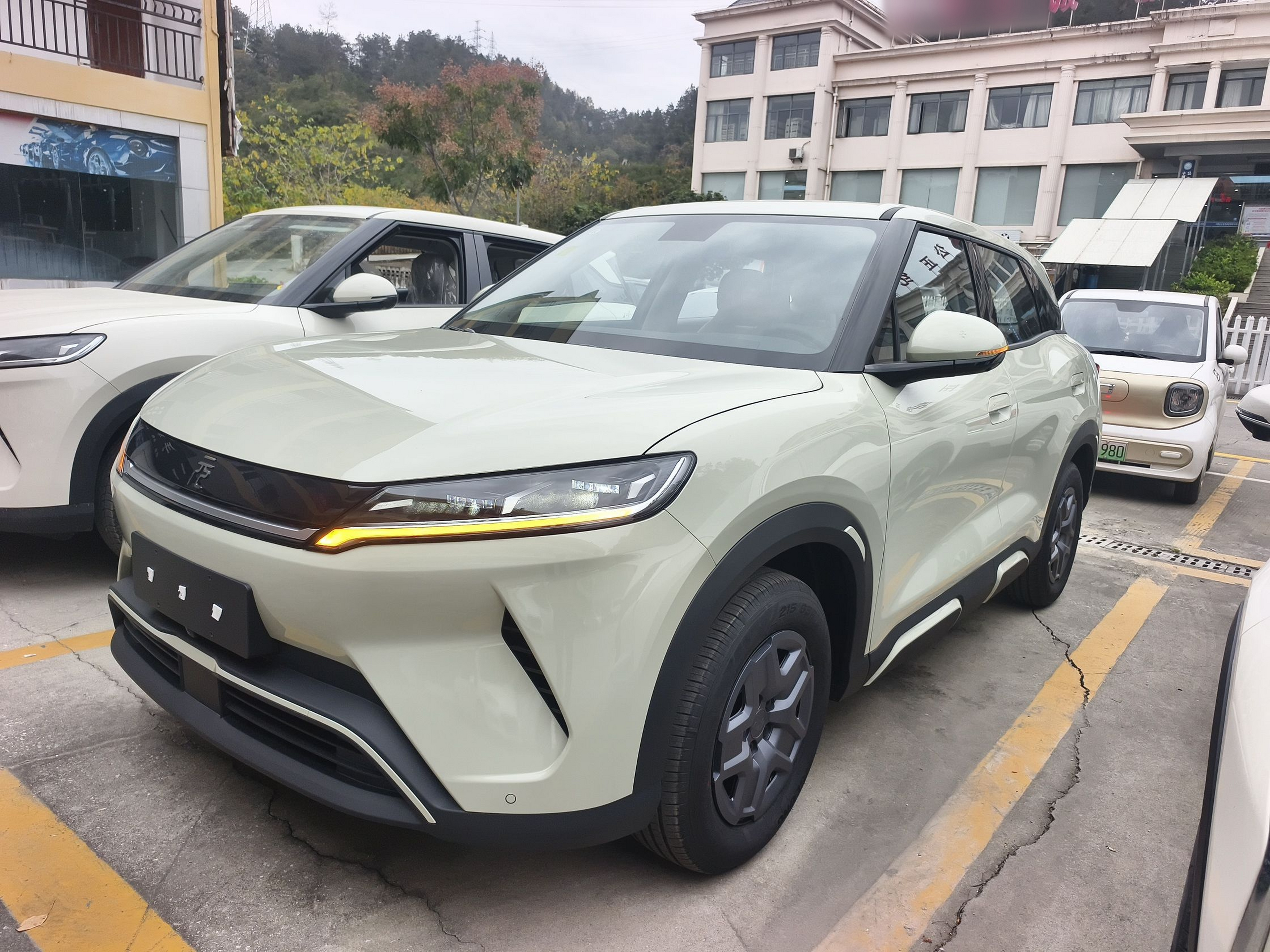 تحت مقدمة السيارة