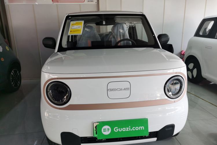 Used  Panda 2024 Panda Mini 200km Endurance Bear
