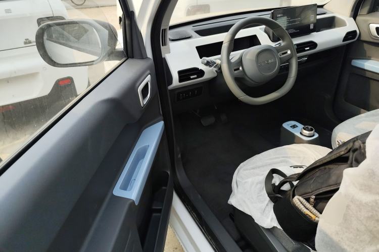 Used  Panda 2024 Panda Mini 200km Endurance Bear
