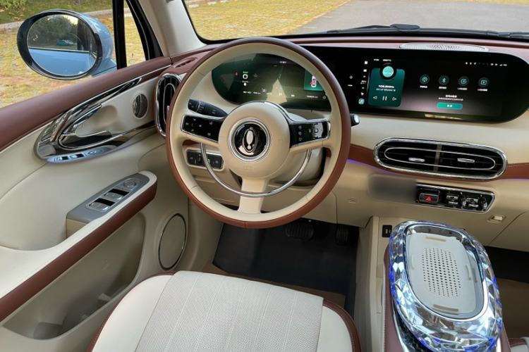 Used ORA Ballet Cat 2023 401 km Luxury Version
