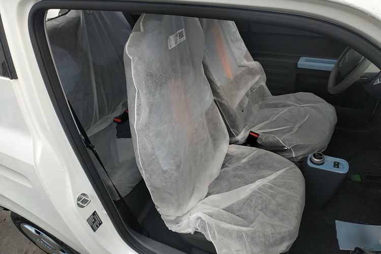 Used  Panda 2024 Panda Mini 200km Endurance Bear
