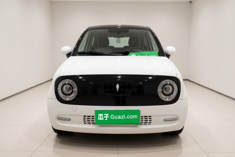 Used ORA Black Cat 2022 351 km Range Comfort Version Ternary Lithium