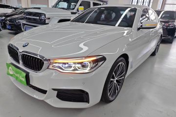Used BMW 5 Series 2020 530Li Leading Model M Sport Package