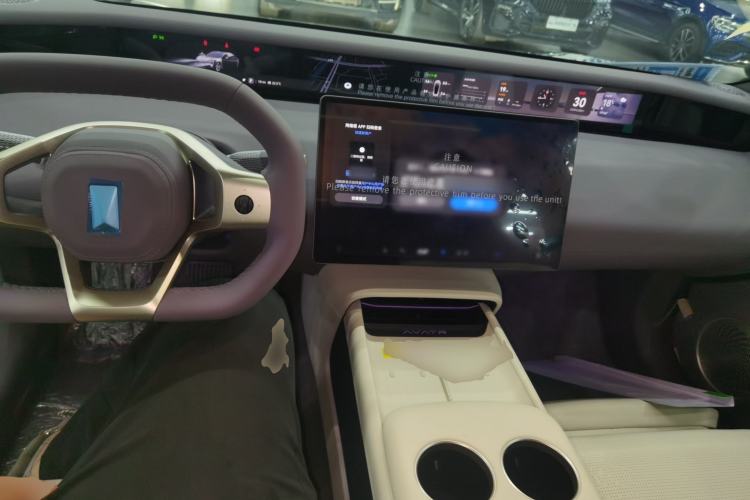 Used  06 2025 Max All-Electric Version
