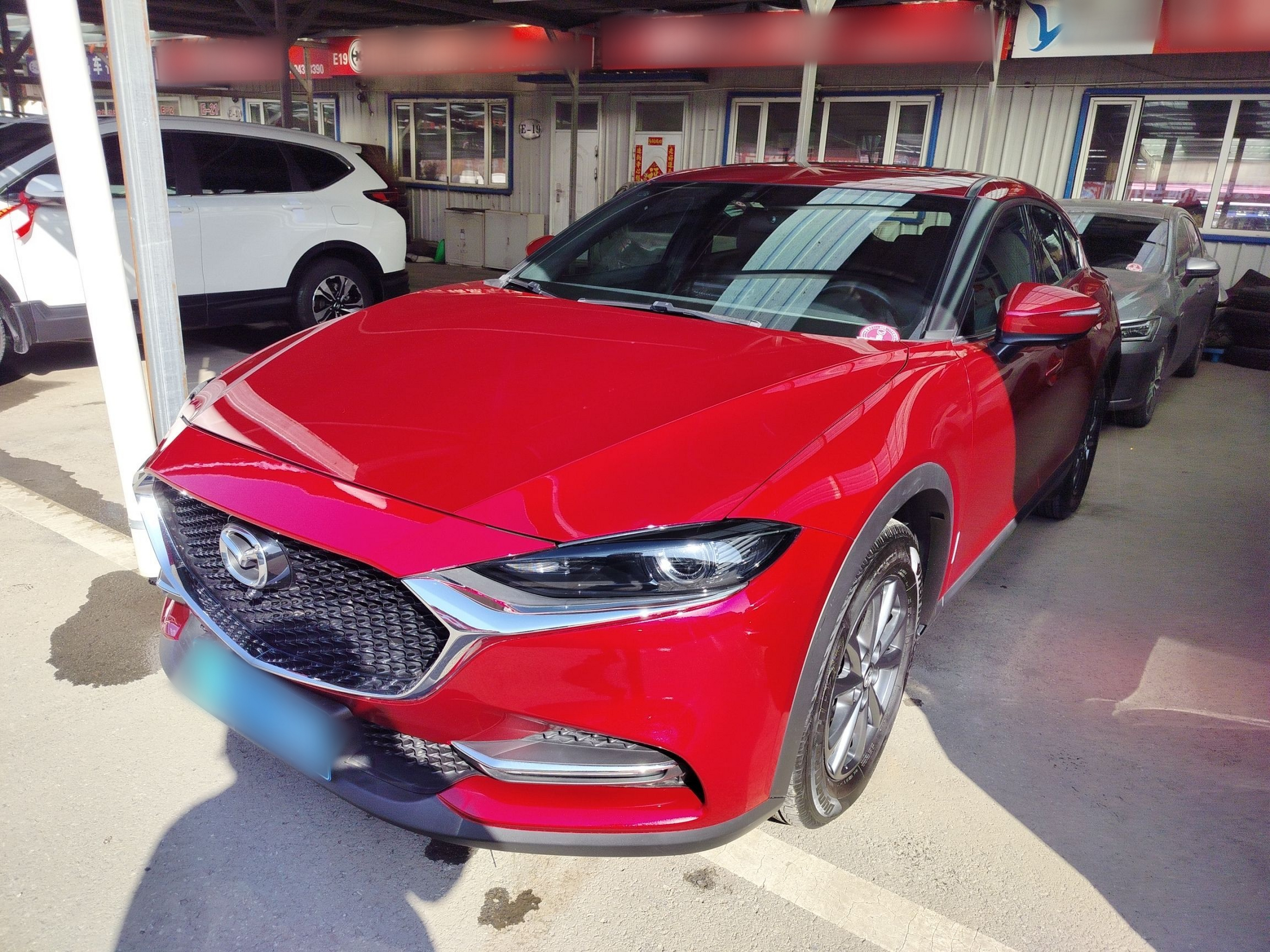 تحت مقدمة السيارة