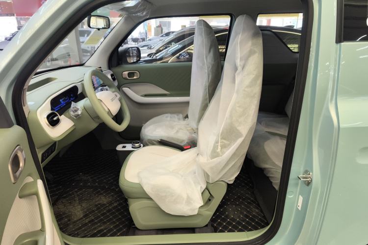 Used  Panda 2025 210 km – Yuanqi Bear
