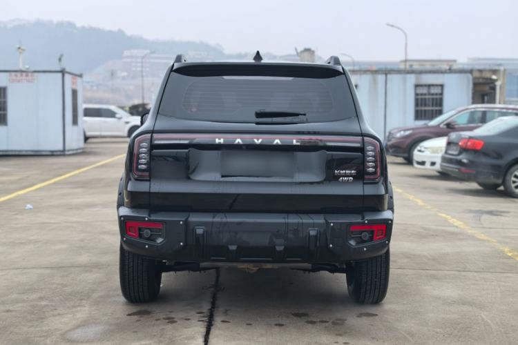 Used Haval DARGO 2024 2.0T DCT Chinese Rural Dog Edition