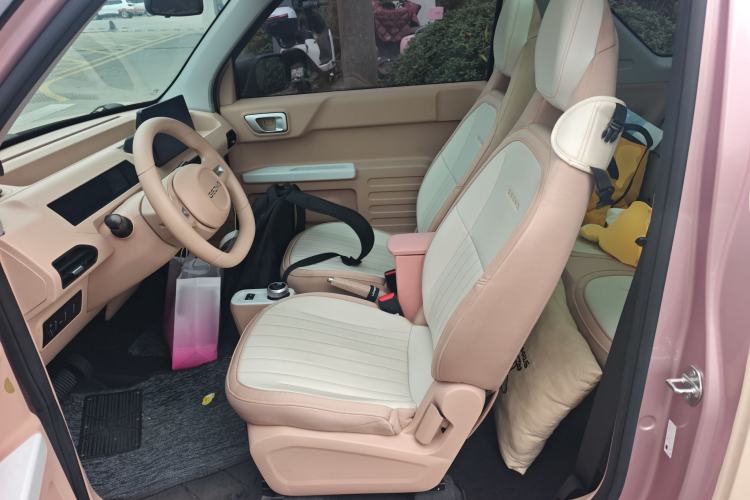 Used  Panda 2023 Panda Mini 200km Dynamic Bear
