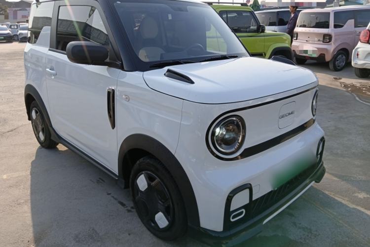 Used  Panda 2024 200km Panda Kart
