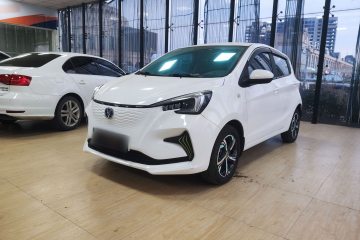 Used Oshan Benni E-Star 2022 Charming Edition Colorful Model Lithium-Ion Battery