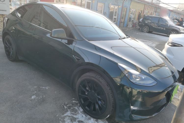 Used Tesla Model Y 2021 Standard Range Rear-Wheel Drive Version

