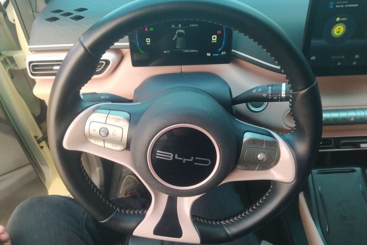 Used BYD Seagull 2023 Free Edition
