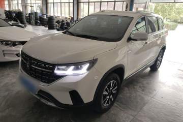 Used FORTHING T5 2022 Shengshi Edition 1.5T Automatic Dream Version Five Seats