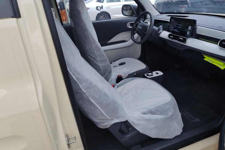 Used  Panda 2025 210 km – Yuanqi Bear
