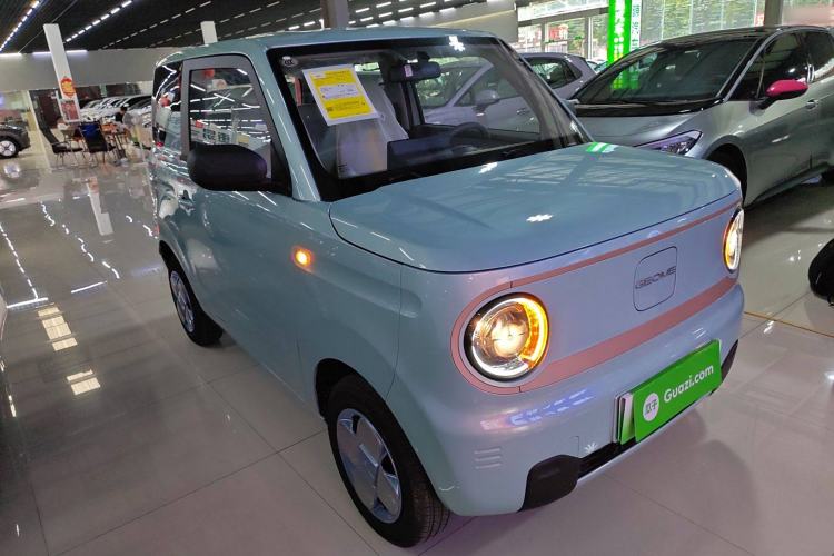 Used  Panda 2024 Panda Mini 200km Endurance Bear
