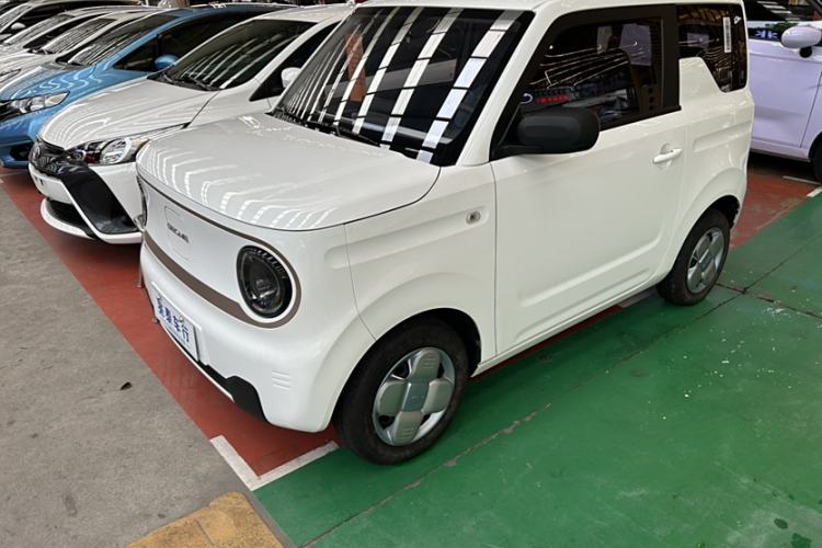 Used  Panda 2023 Panda Mini 200km Endurance Bear
