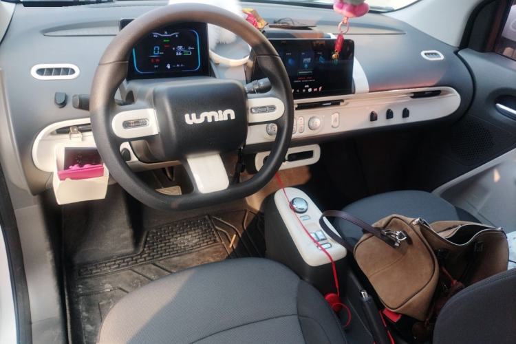 Used Qiyuan Lumin 2022 210km Sweet Edition
