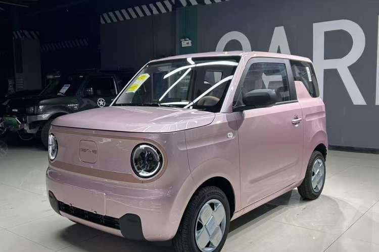 Used  Panda 2024 Panda Mini 200km Endurance Bear
