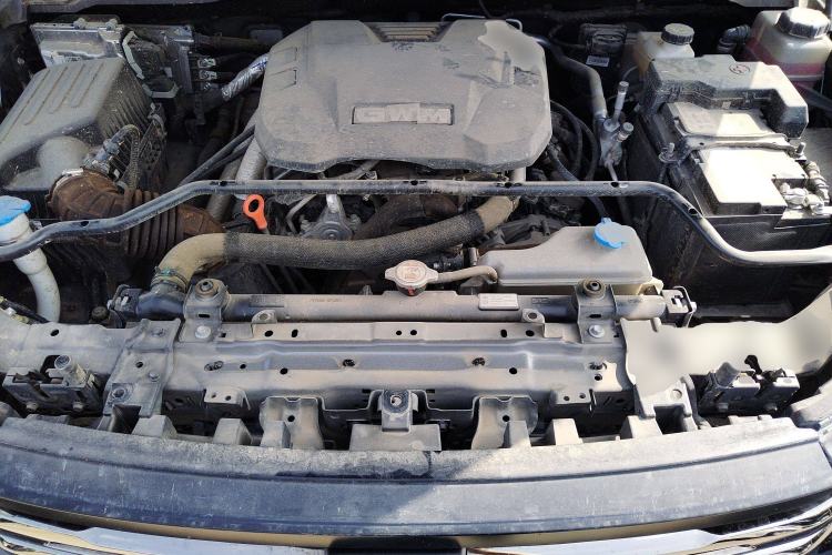 Used Tank 400 2025 2.0T Gasoline Version
