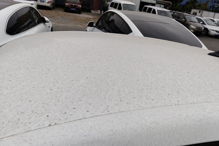 Used Roewe Clever 2021 302km All-Round Version
