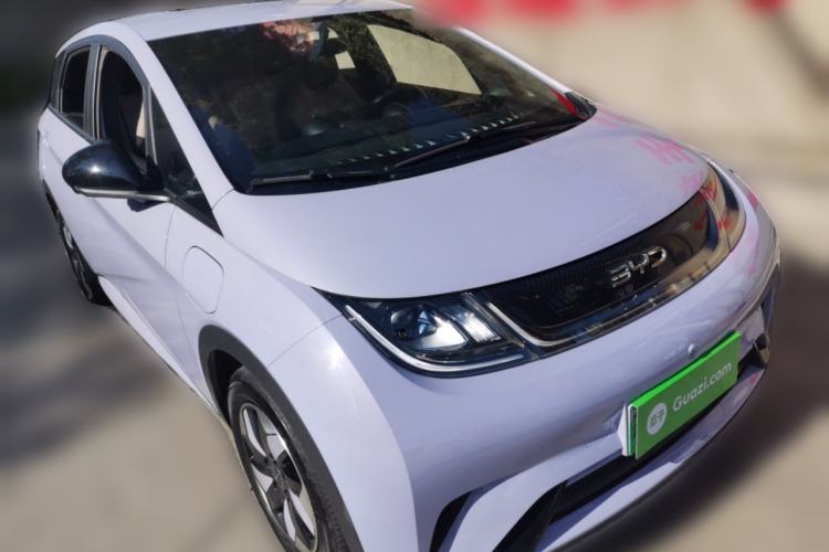 Used BYD Dolphin 2024 Honor Edition 420km Freedom Version
