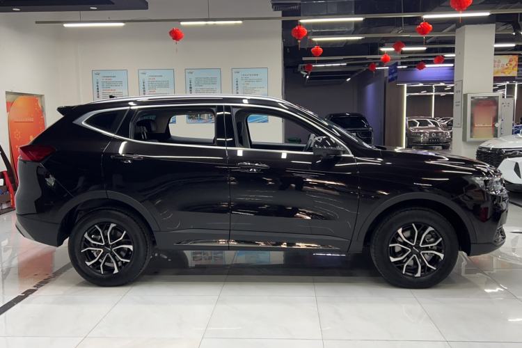 Used Haval H6 2023 National Trend Edition 1.5T Automatic Urban Version
