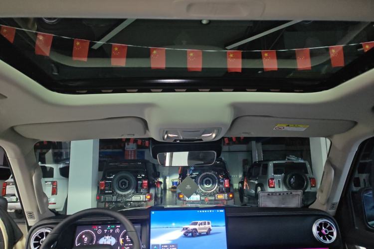 Used Tank 300 New Energy 2025 Hi4-T
