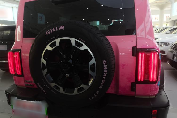 Used Tank 300 New Energy 2025 Hi4-T