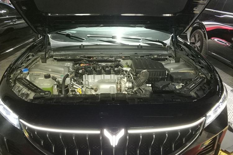 Used VOYAH FREE 2021 Four-Wheel Drive Standard Range-Extended Exclusive Luxury Package