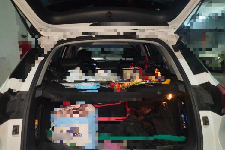 Used Haval H6 Coupe 2018 Red-Label 1.5T Automatic Two-Wheel Drive Ultra-Luxury Model