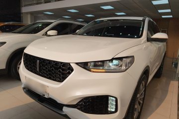 Used Wey VV6 2019 2.0T Two-Wheel-Drive Ultra-Luxury Version China VI Standard