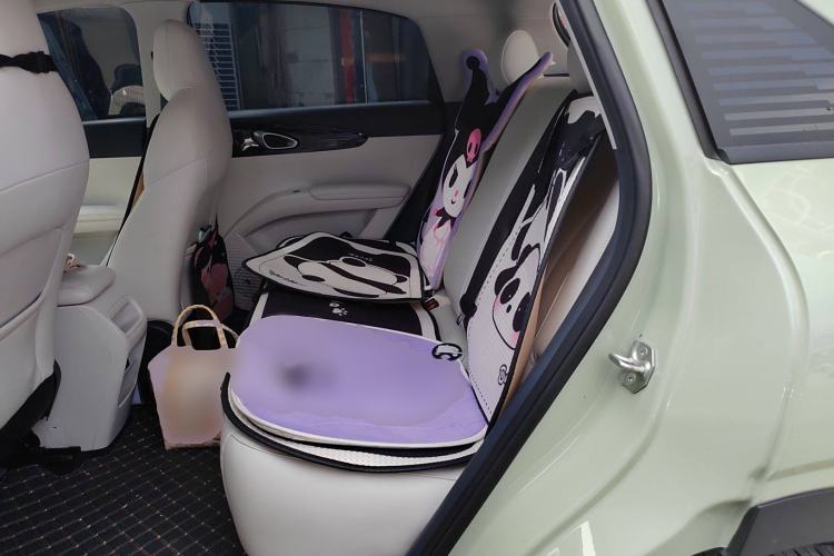 Used  Geome 2025 310km Dream Edition