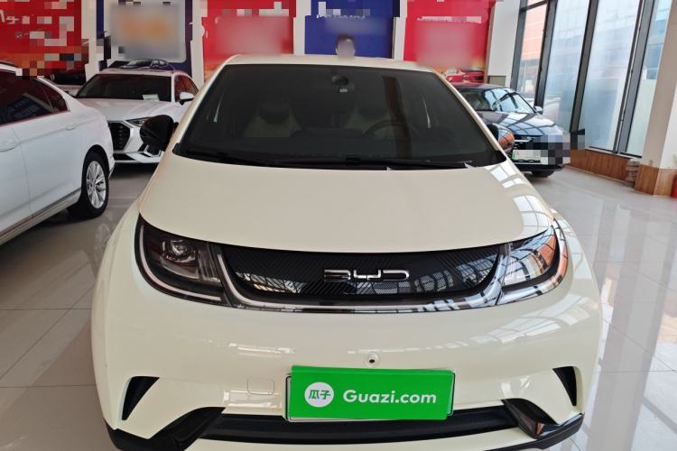 Used BYD Dolphin 2023 420 km Free Version
