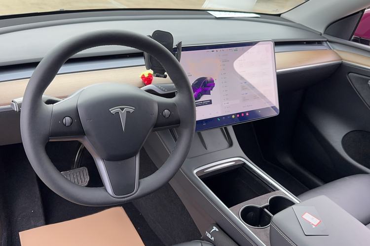 Used Tesla Model Y 2021 Standard Range Rear-Wheel Drive Version
