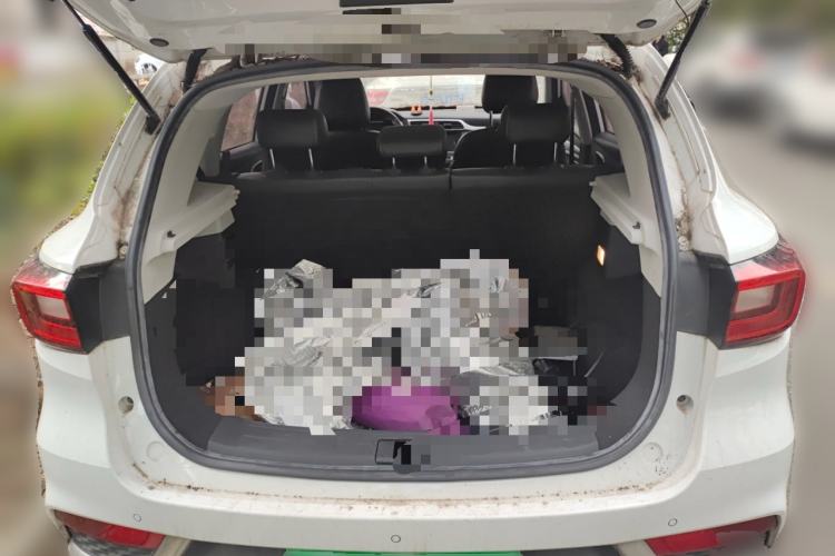 Used MG ZS 2018 1.5L Automatic Luxury Edition China V Standard