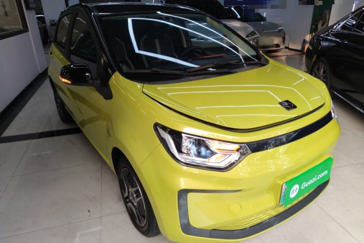 Used SOL E10X 2022 Flower Fairy Design Four-Leaf Clover
