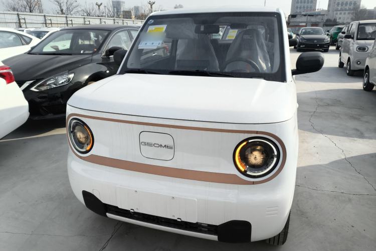Used  Panda 2024 Panda Mini 200km Endurance Bear
