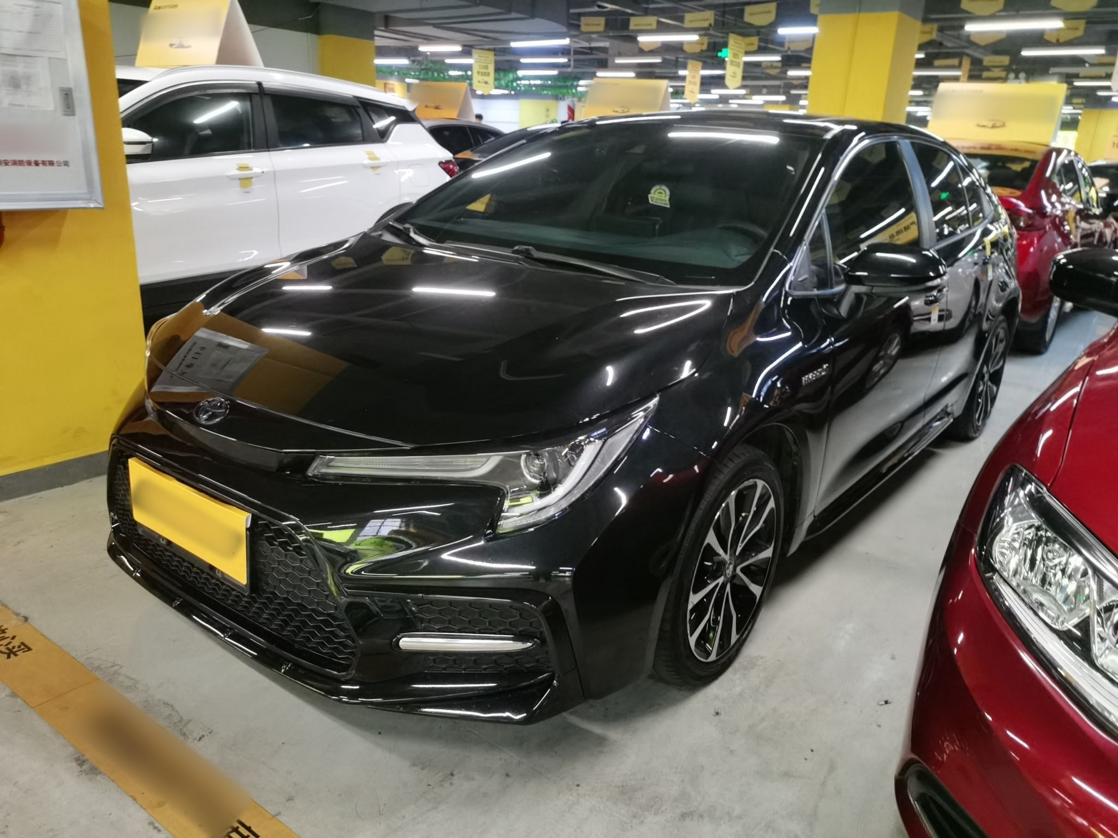 تحت مقدمة السيارة