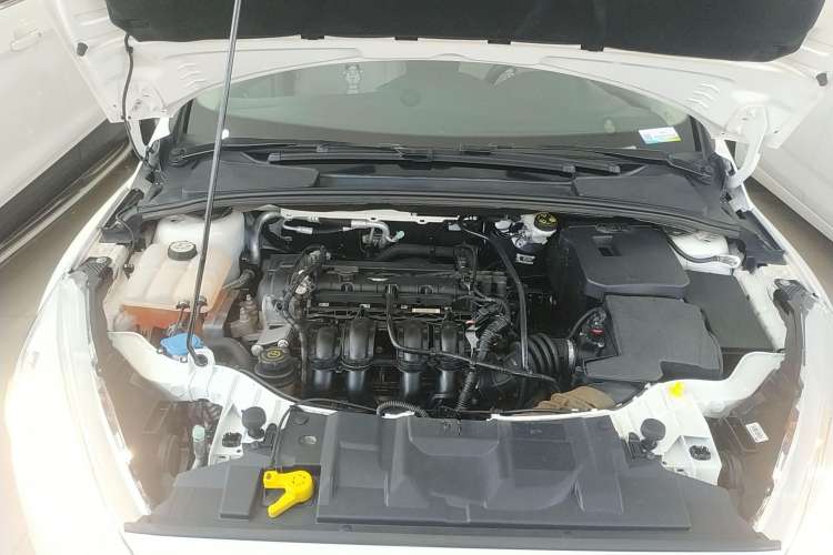 Used Ford Focus 2017 Sedan 1.6L Automatic Comfort Plus SmartDrive Edition