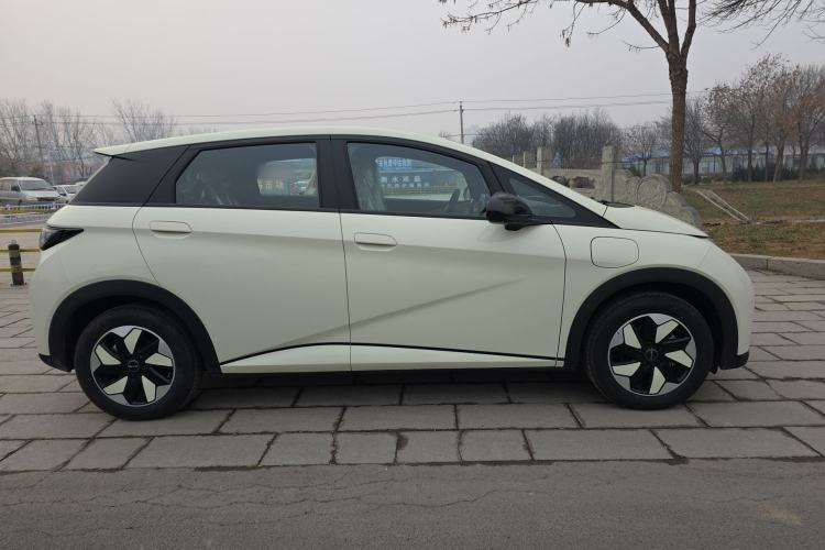 Used BYD Dolphin 2025 420km Free Edition
