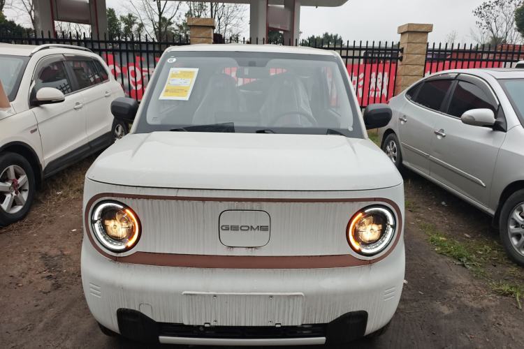 Used  Panda 2024 Panda Mini 200km Endurance Bear