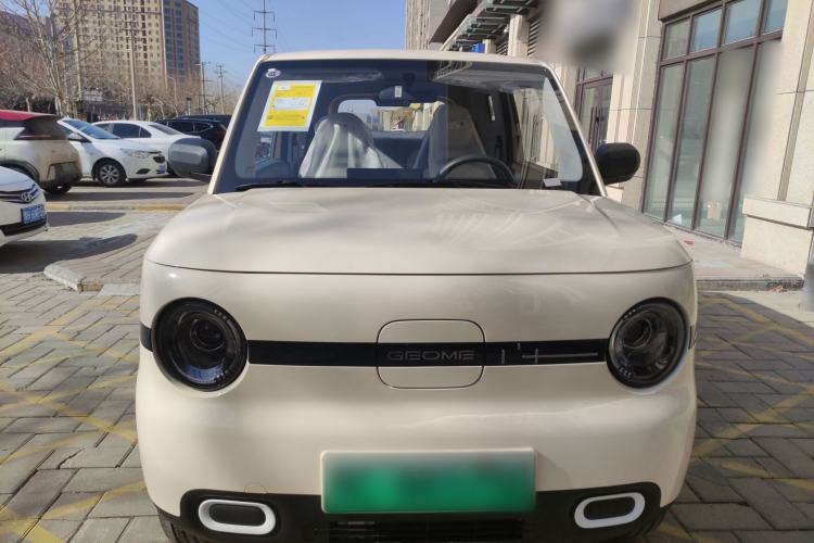 Used  Panda 2025 210 km – Yuanqi Bear