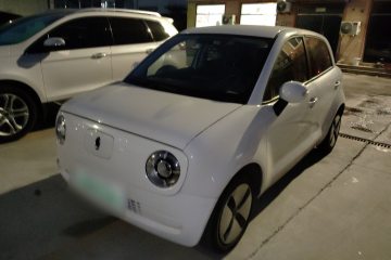 Used ORA Black Cat 2021 301 km Basic Version