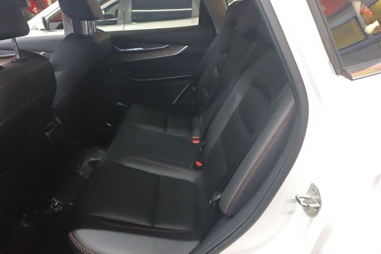 Used  Zhuifeng 2020 Chasing the Waves Edition 1.5T CVT Xingrui Version
