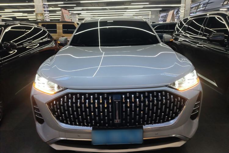 Used Wey Mocha 2021 2.0T Two-Wheel-Drive Ultra-Strong Version
