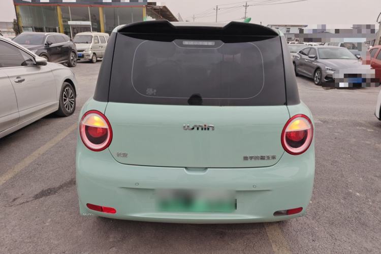 Used  Lumin 2025 205 km Xiangqin Version
