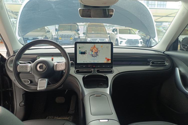 Used  #1 2023 Pro Edition
