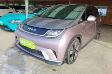 Used BYD Dolphin 2021 401km Knight Edition