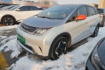 Used BYD Dolphin 2021 405 km Free Version